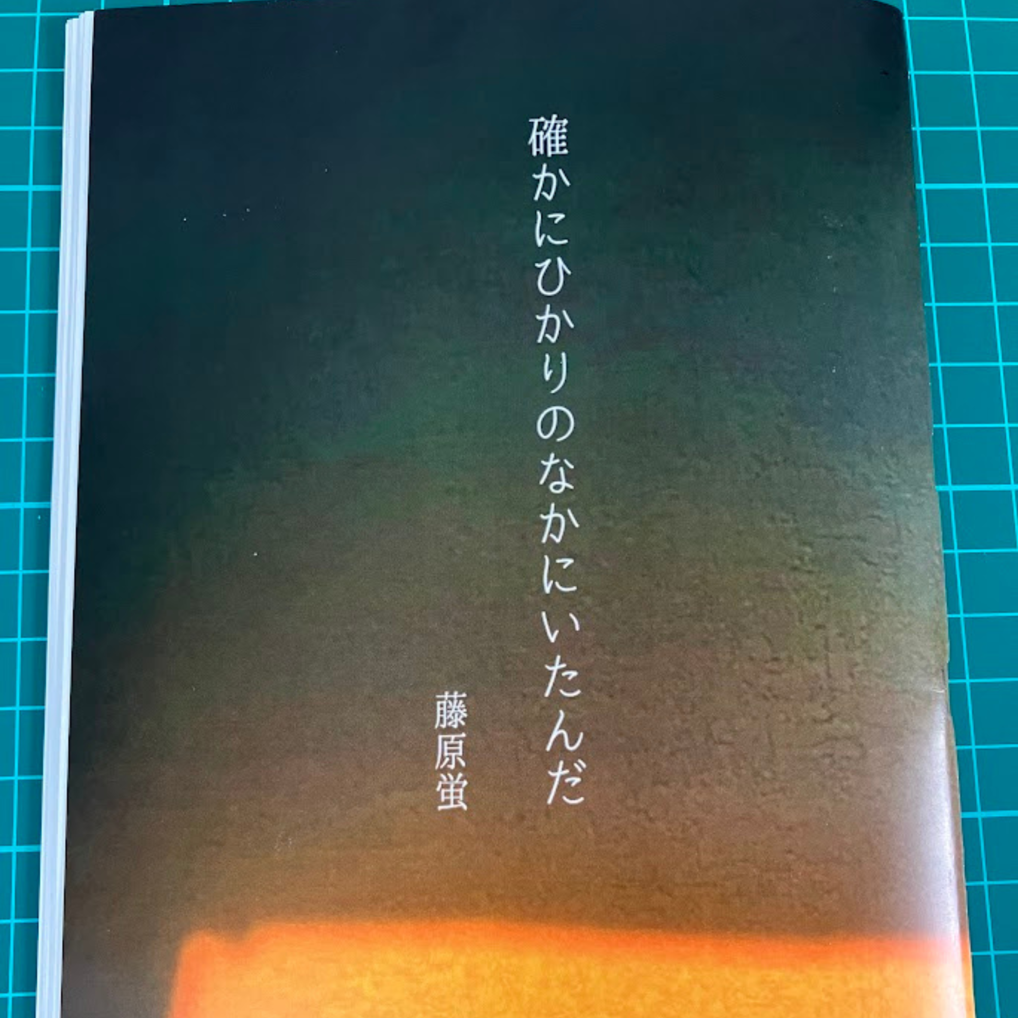 確かにひかりのなかにいたんだ